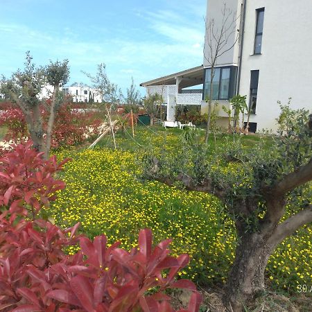 Welcome Beach Apartment Hamallaj 외부 사진