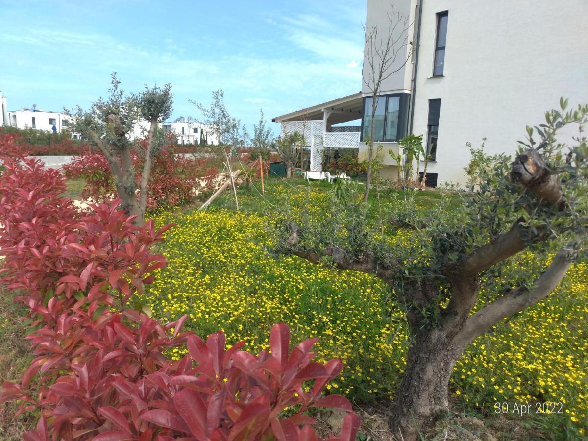 Welcome Beach Apartment Hamallaj 외부 사진